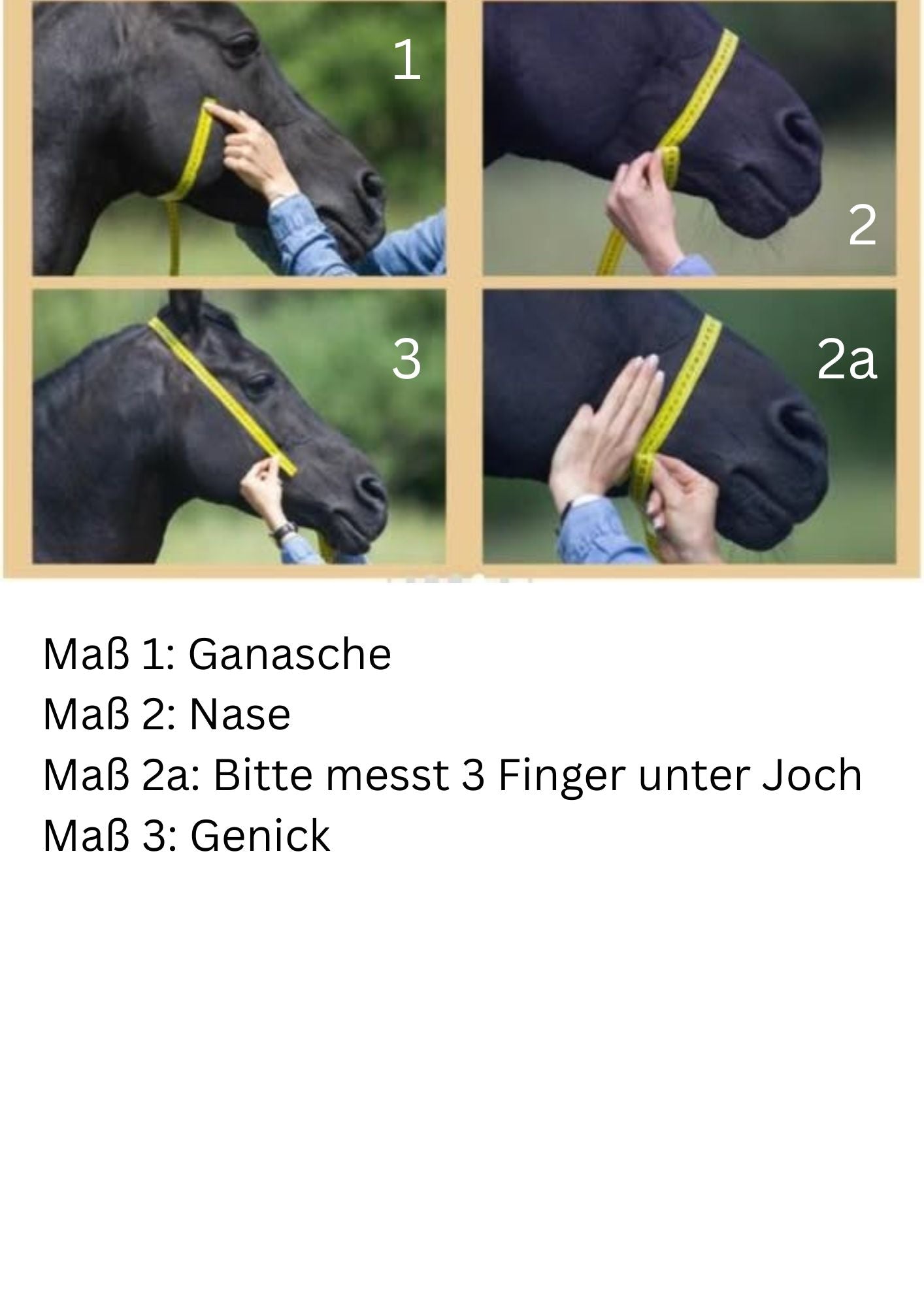 Führring